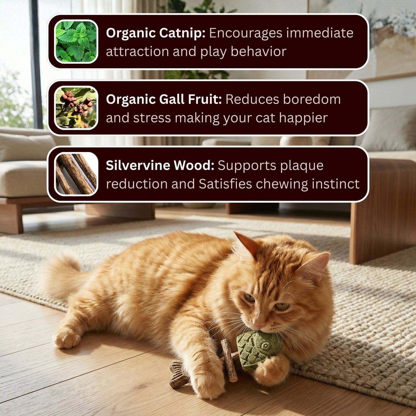 🐾Day Sale 50% OFF-Catnip & Silvervine Chew