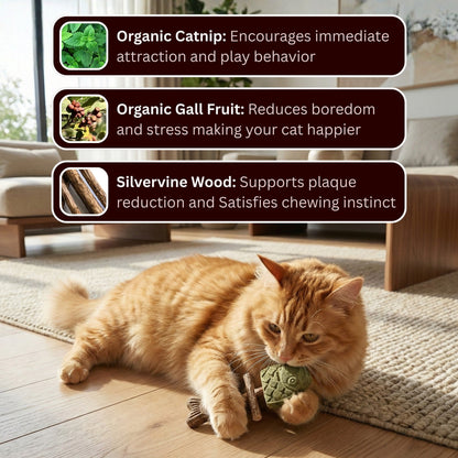 🐾Day Sale 50% OFF-Catnip & Silvervine Chew