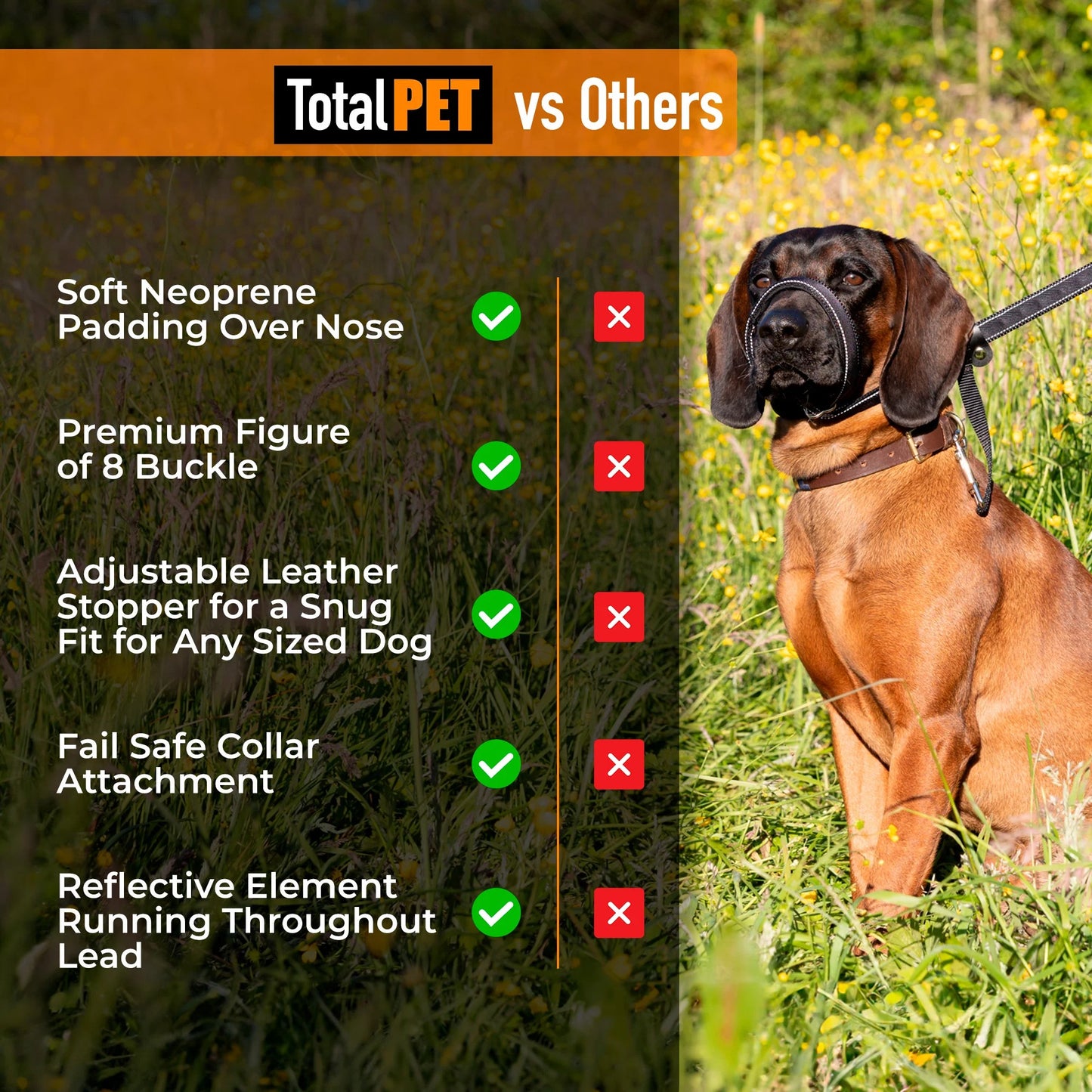 Flat Figure of 8 Dog Lead with Padding – Stop Pulling & Take Back Control - Total Pet
