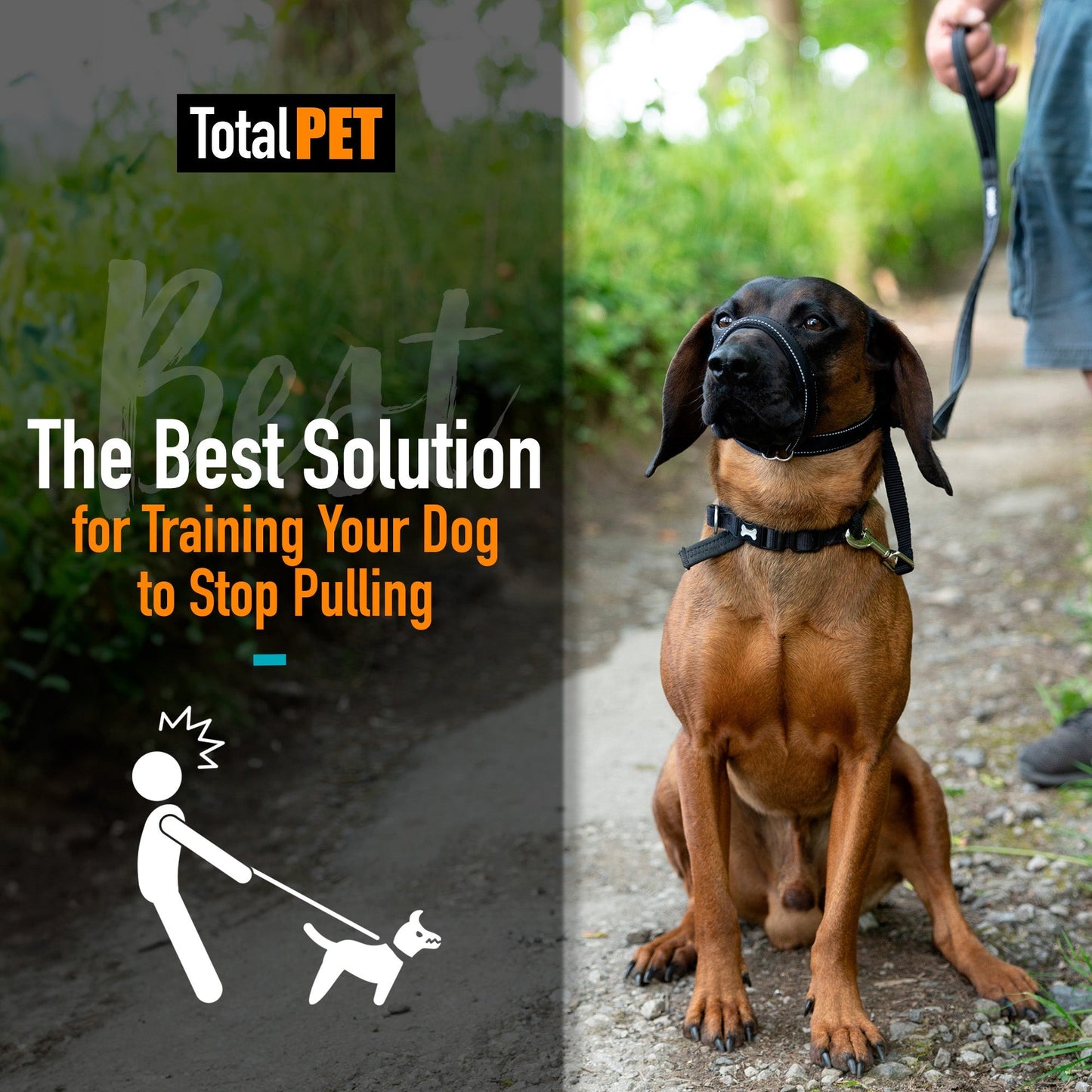Flat Figure of 8 Dog Lead with Padding – Stop Pulling & Take Back Control - Total Pet
