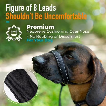 Flat Figure of 8 Dog Lead with Padding – Stop Pulling & Take Back Control - Total Pet