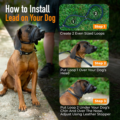 Flat Figure of 8 Dog Lead with Padding – Stop Pulling & Take Back Control - Total Pet