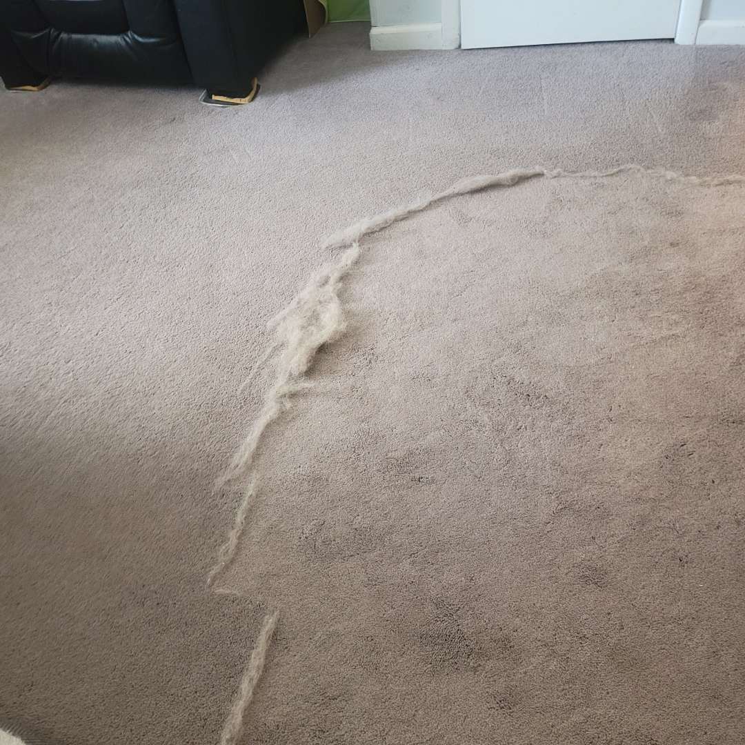 Cleaner Pro™