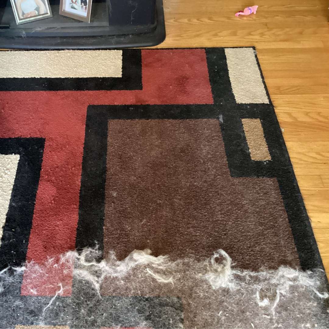 Cleaner Pro™
